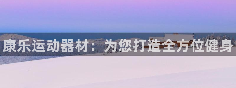 征途国际集团