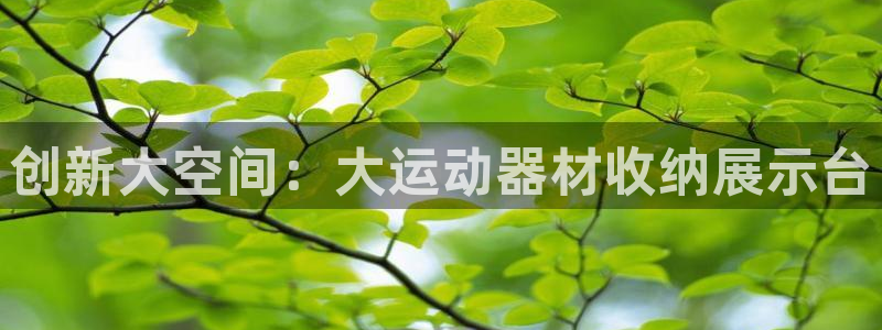 征途国际招商电话号码查询：创新大空间：大运动器材收纳展示台