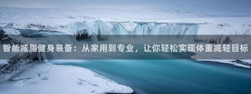 征途国际软件