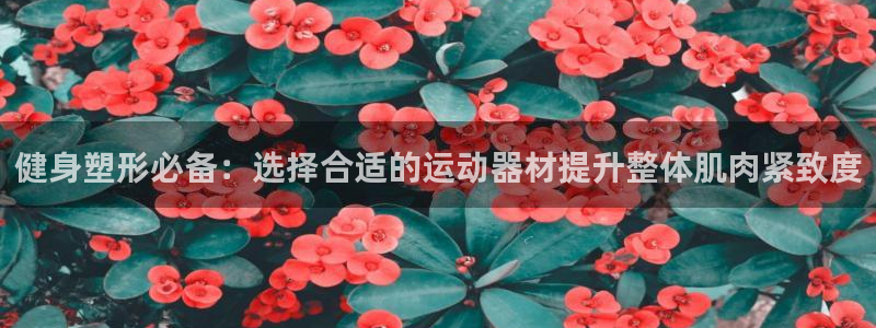 征途国际平台注册流程视频：健身塑形必备：选择合适的运动器材提