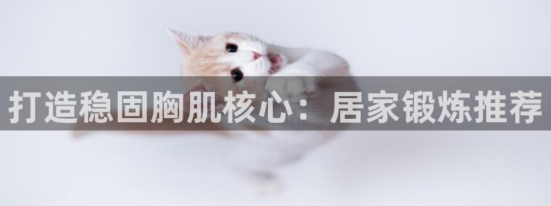 征途国际集团logo：打造稳固胸肌核心：居家锻炼推荐