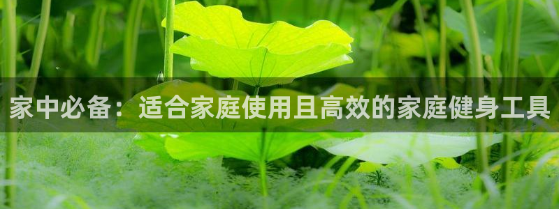 征途国际娱乐：家中必备：适合家庭使用且高效的家庭健身工具