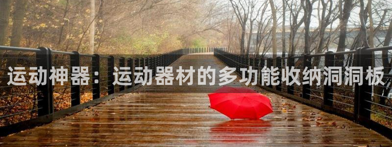 征途国际官方：运动神器：运动器材的多功能收纳洞洞板