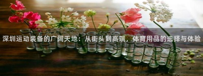 征途国际招商电话号码查询