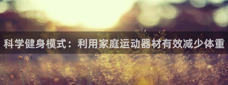 征途国际招商