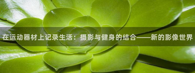 征途国际娱乐网站