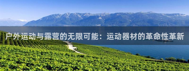 征途国际集团