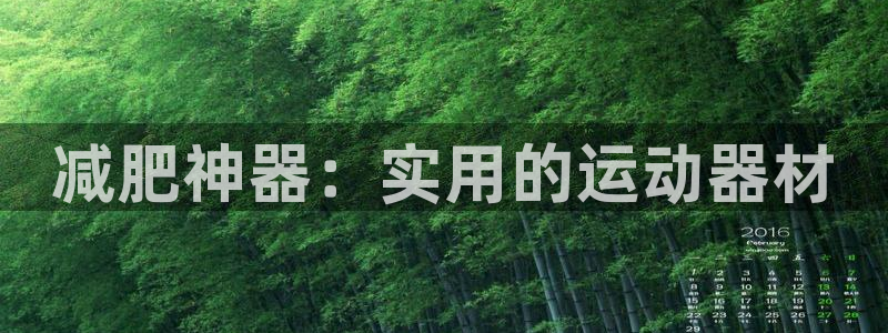 征途国际娱乐平台：减肥神器：实用的运动器材