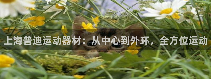 征途国际开户：上海普迪运动器材：从中心到外环，全方位运动