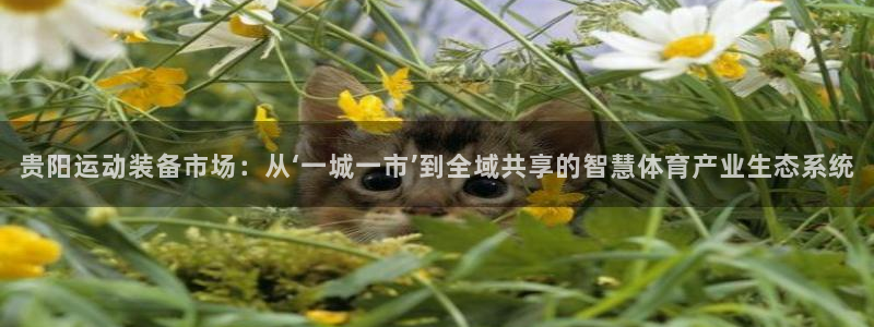 征途国际娱乐平台