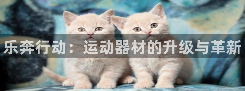 征途国际五金厂：乐奔行动：运动器材的升级与革新