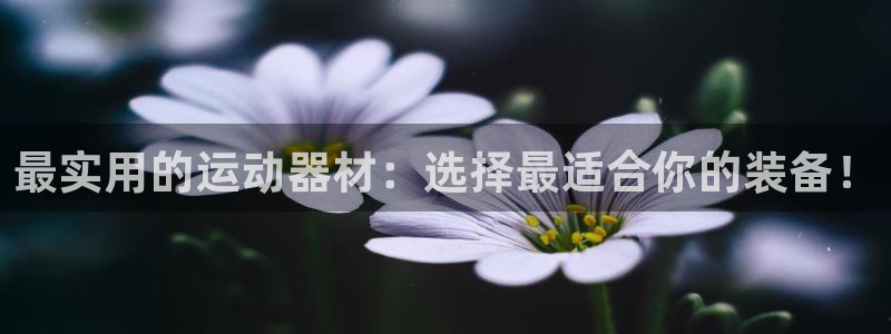 海南征途国际发展怎么样：最实用的运动器材：选择最适合你的装备