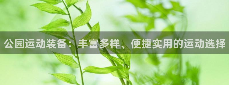 征途国际平台是正规平台吗知乎：公园运动装备：丰富多样、便捷实