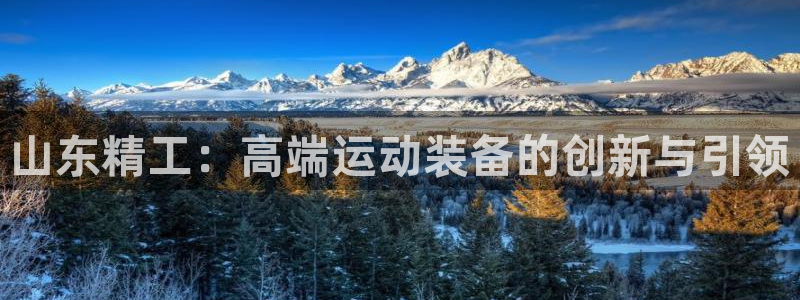 征途国际娱乐网站：山东精工：高端运动装备的创新与引领