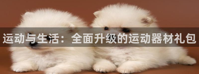 征途国际娱乐网站：运动与生活：全面升级的运动器材礼包